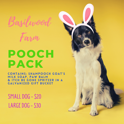 Pooch Pack Bundle
