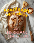 Sourdough Workshops with Herndon Homestead