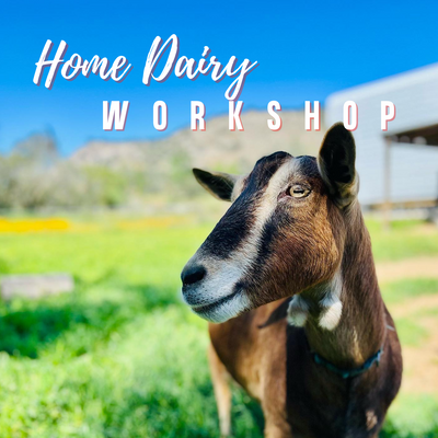 Home Dairy Workshop