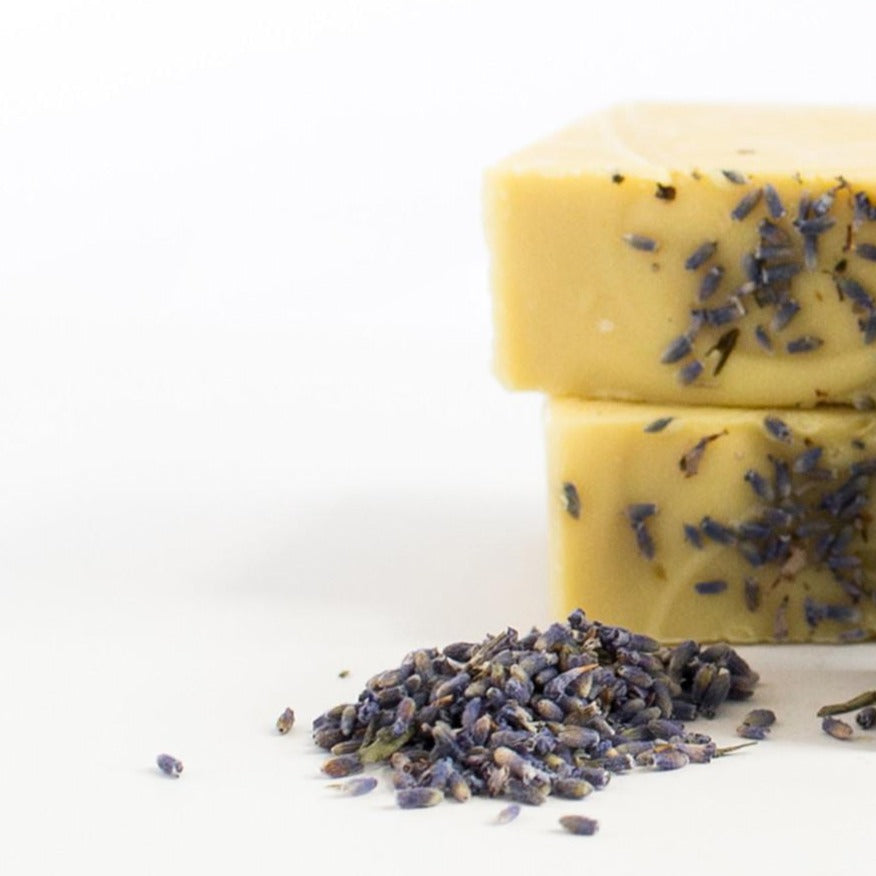 lavender goat milk soap 