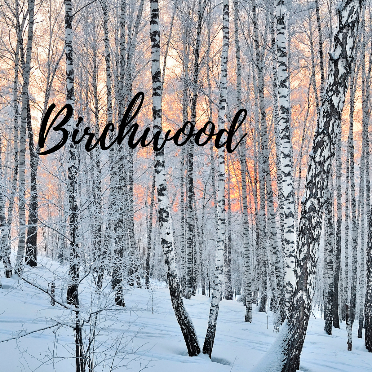 Birchwood